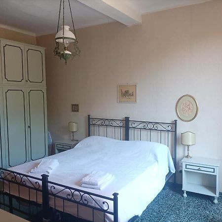 Nice Apartments In Downtown Bolonia Zewnętrze zdjęcie